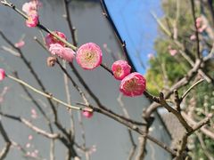 -上海方塔园