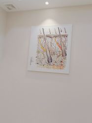 -雍禾植发全国连锁