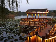 -上海市保健医疗中心