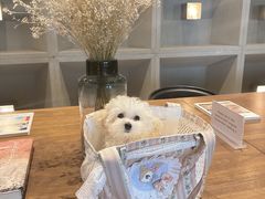 -北京三里屯CHAO酒店