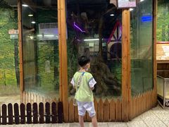 -上海大自然野生昆虫馆(东方明珠·爬宠昆虫探索中心)