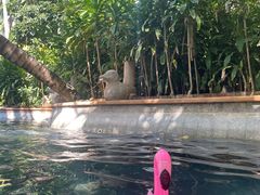 -三亚海韵度假酒店·渔人码头海鲜火锅BBQ自助餐厅·落日吧