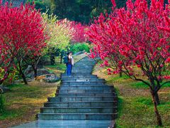 -桃花涧