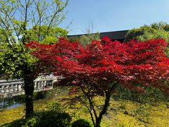 -韩湘水博园