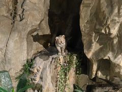-东方山水乐园山之王国(全室内)