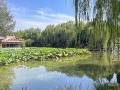 -宫事颐庭·老佛爷贵寿下午茶(颐和园店)