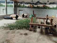 -西安秦岭野生动物园