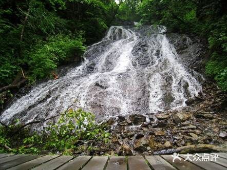 吊水壶国家森林公园图片