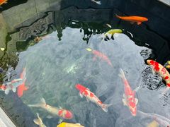 -西安市广仁寺