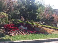 -金石唐风国际温泉会馆