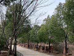 -嵖岈山风景区