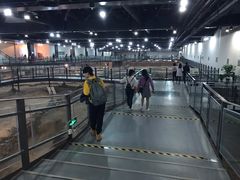 -南越王博物院(王宫展区)
