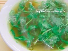 -舒蔡记生煎菜饭(云南中路店)