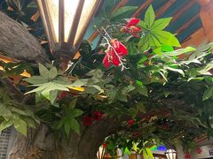 -老广酒楼(樱花店)