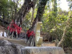 -七仙岭温泉国家森林公园