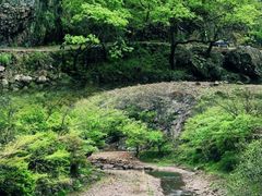-水墨汀溪风景区