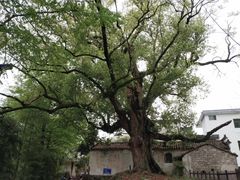 -新安江山水画廊风景区