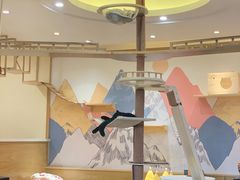 -滚猫咖啡·猫咖·猫友好撸猫(未来城店)