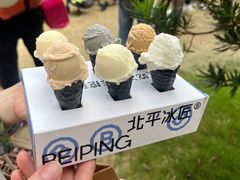 -陆家嘴中心绿地