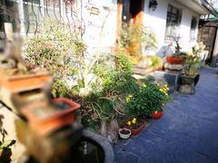 -古韵餐厅(湖畔大学店)
