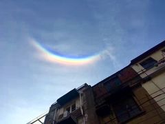 -上海市位育初级中学