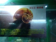 -南京金牛湖风景区