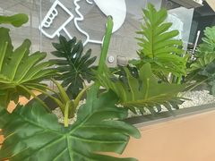 -喜茶(珠海华发商都店)