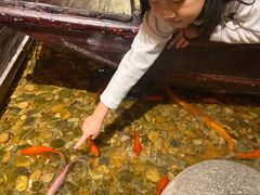 -颐和•海鲜砂锅粥•啫啫煲(奥林匹克广场店)