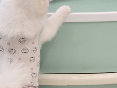 -怪兽屋·羊驼·猫咖·狗咖(俊华广场店)