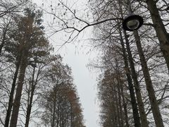 -东湖磨山景区