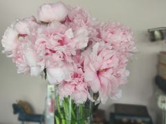 -婷意花宇TheGracesFloral(北外滩店)