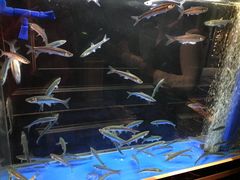 -翠府(翠湖北路店)