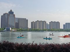 -金沙湖公园