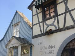 -千龙湖生态旅游度假区