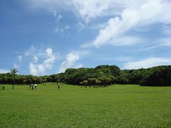 -鹅銮鼻公园