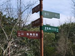 -上海滨江森林公园