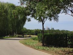 -燕郊植物园