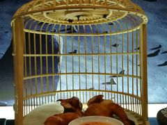 -赫帝拉航空主题餐厅(南宁店)