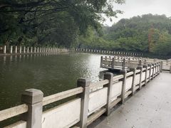 -西樵山风景名胜区-天湖公园