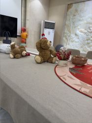 -安琪朵朵独栋花园月子中心