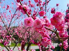 -狼山风景名胜区