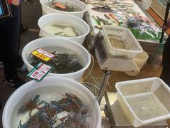 -御唐府海珊瑚主题餐厅