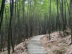 -藏龙百瀑风景区