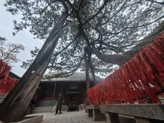 -红螺寺