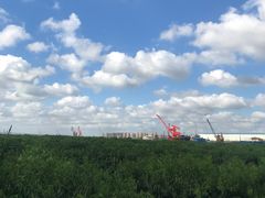 -樂桃源奉贤黄桃种植采摘基地