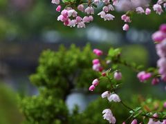 -太平天国历史博物馆(瞻园)