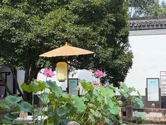 -上海醉白池公园