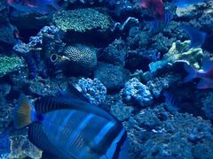 -常州海昌海洋探索馆