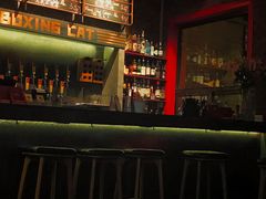 -Boxing Cat Brewery拳击猫精酿啤酒馆(永福店)