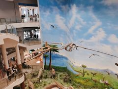 -辽宁古生物博物馆